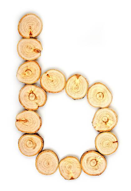 istock Alphabet letters made from Wood slice on white Background.b. 614037914