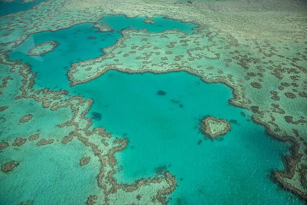 Aerial view of the Heart reef in the Whitsundays Islands.