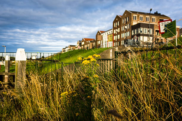 istock Dutch houses on a dyke 614041748