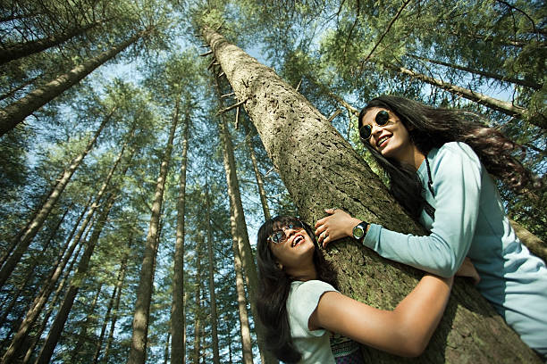 Outdoor worm eye view of two happy girls embracing the pine tree and giving toothy smile, they are wearing sunglasses. The image shot through wide angle lens showing pine tree from trunk to top and sky in the background. Two people, low angle view, waist up, horizontal composition with copy space.