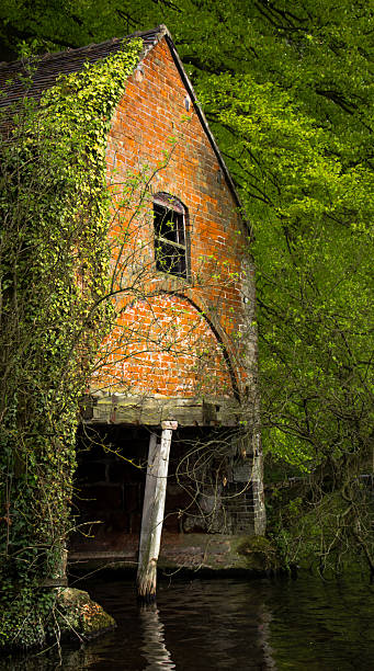 istock Old derelict boat house with ivy growing over 614043578