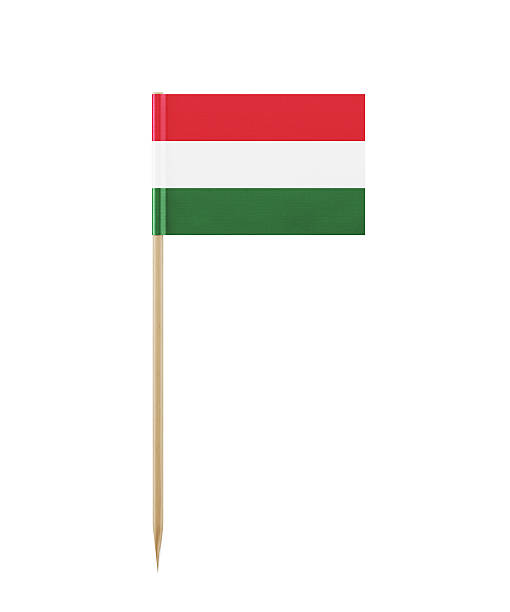 istock Tiny Flag of Hungary on a Toothpick 614044438