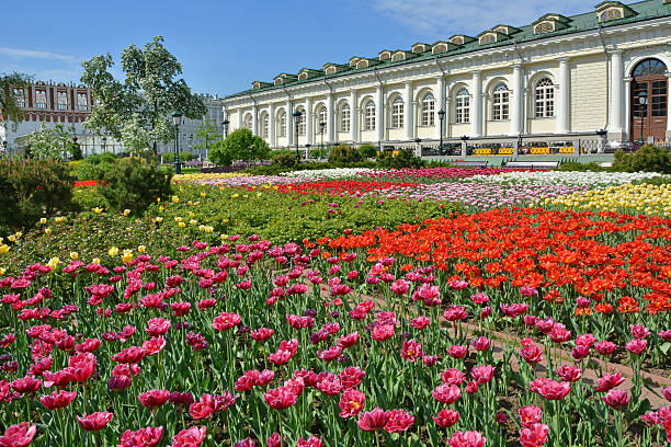 istock Square in the Alexander garden in Moscow 614045258
