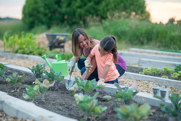 istock Planting Vegetables in the Garden 614046306