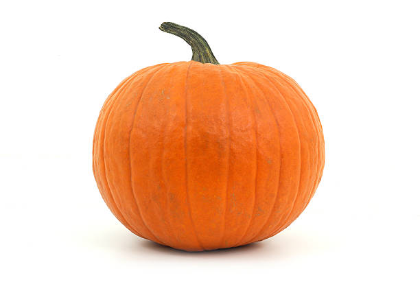 orange pumpkin on white background for halloween or thanksgiving - single object fotos imagens e fotografias de stock