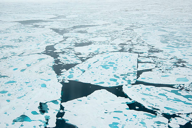 istock Icebreaker in the ice 614046976