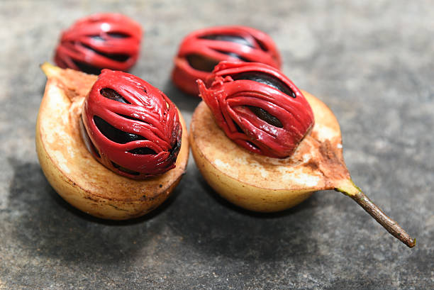 Fresh Nutmeg spice Kerala India Nutmeg many isolated. Sectional view of ripe colorful red nutmeg fruit, seeds Kerala India. spices known as pala in Indonesia and red mace from tree Myristica Banda Islands Moluccas Spice Islands mace spice stock pictures, royalty-free photos & images