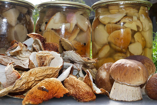 istock Mushrooms, jam, dried mushrooms and  pickled in a jar 614049644