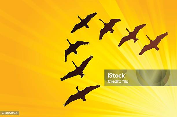 Geese Flying In Formation Stock Illustration - Download Image Now - Birds Flying in V-Formation, Animal Migration, Bird