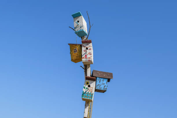 istock Birdhouses, houses for birds 614051442