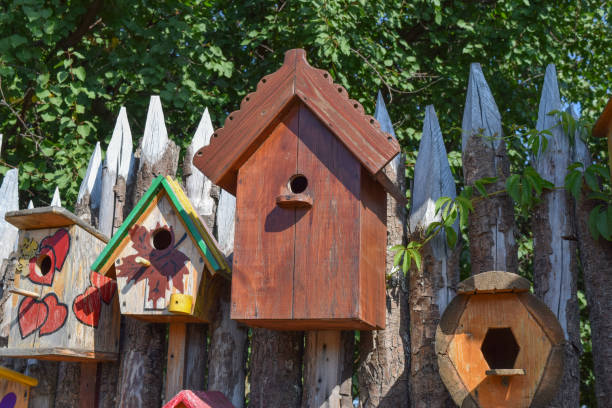 istock Birdhouses, houses for birds 614052064