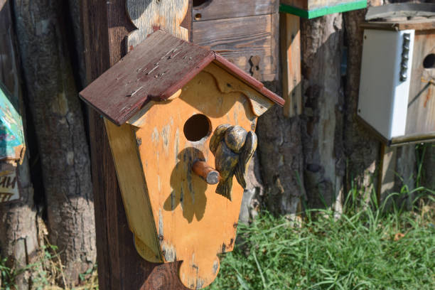 istock Birdhouses, houses for birds 614052304
