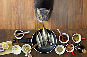 Thief cat looking fishes on the frying pan