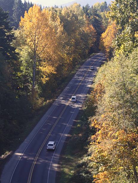 istock Aerial View Of A Highway Framed By Fall Trees 614053776