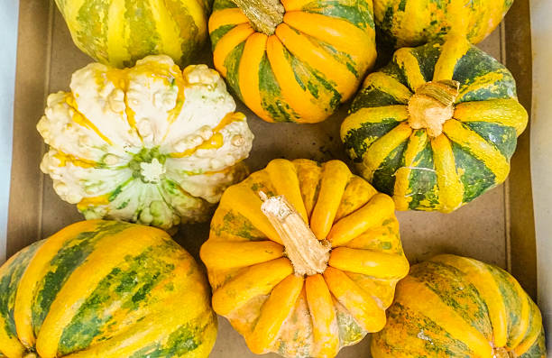 Fresh Autumn Pumpkins - Thanksgiving Background