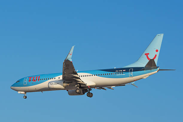 Tui Ag 写真のストックフォト