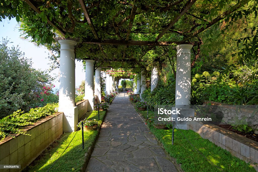 The public gardens of the Villa San Michele, Capri, Italy The public gardens of the Villa San Michele, Capri island, Mediterranean Sea, Italy, Europe. Villa Stock Photo