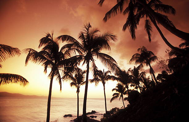 istock AFRICA COMOROS ANJOUAN 614057406