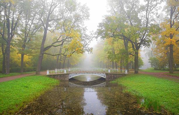 istock Autumn foggy morning 614106942