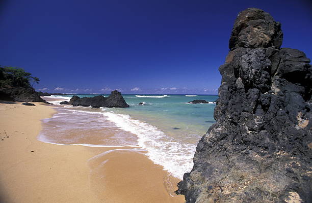 istock Africa Comoros Anjouan 614107026