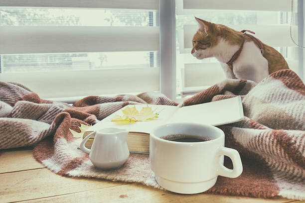 istock Cup of coffee, book and red-white cat 614109188