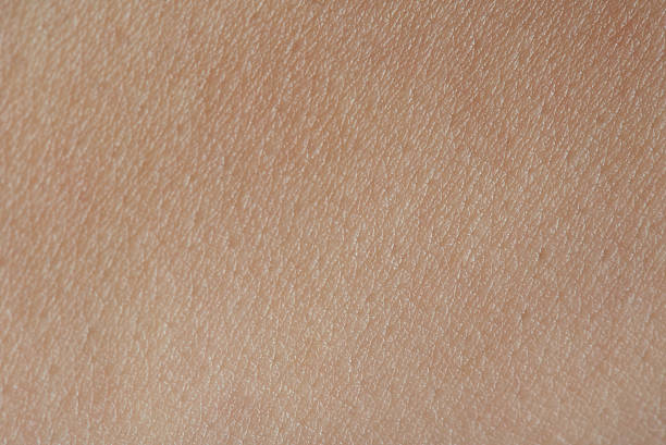 istock macro of texture  human skin 614111496
