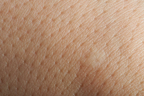 istock macro of pores on skin 614112122