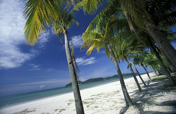 The Beach at Pantai Tanjung Rhu on the coast of Langkawi Island in the northwest of Malaysia