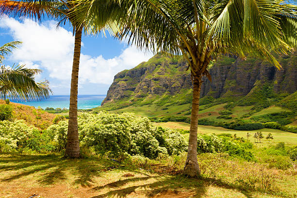 istock Oahu Hawaii 