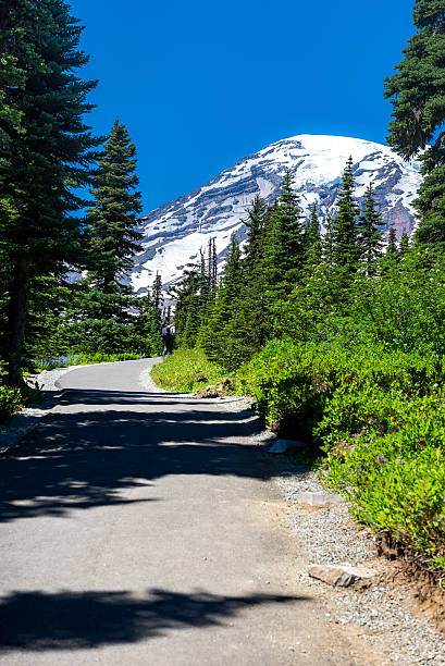 istock Mt. Rainier National Park 614114324