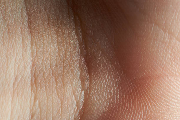 istock close up of wrist skin 614114582