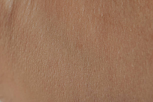 istock close up of human skin cells 614115480