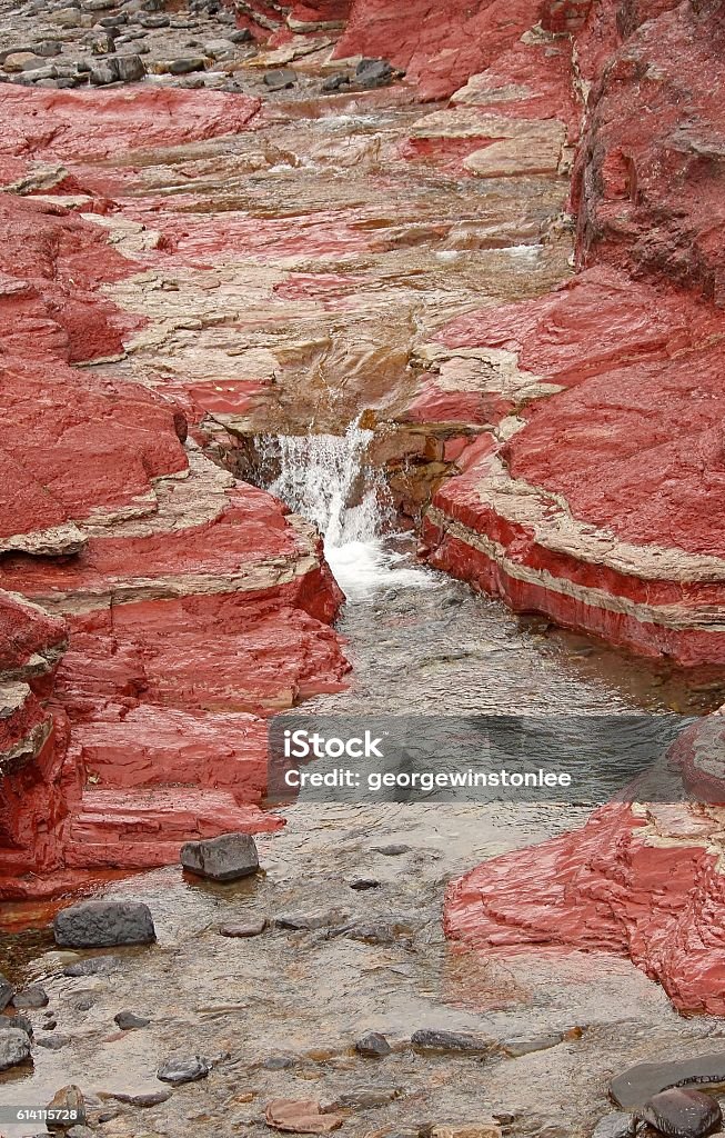 Red Rock Canyon, Waterton The red rocks of Red Rock Canyon, Waterton, Alberta, are shaly sandstones known as argillite. The unusual red colour is from oxidized iron. When the iron is not oxidized, argillite is green. Red Rock Creek runs through the canyon, a popular spot for tourists and photographers. 2016 Stock Photo