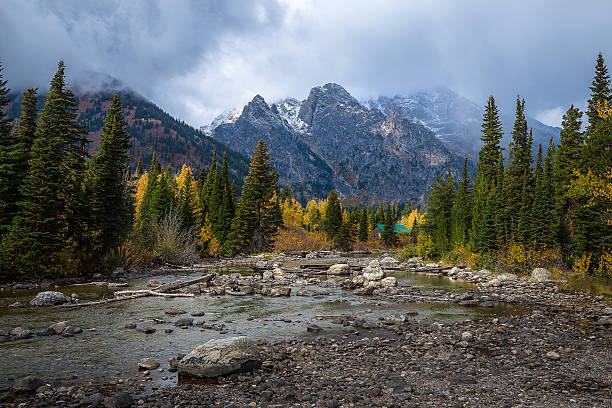 istock Schwabacher landing 614116184