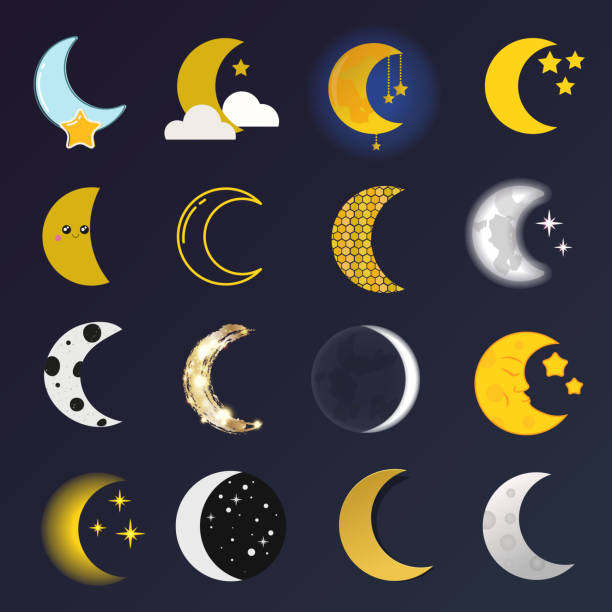 Moon month vector illustration. Phases of the moon vector nature cosmos cycle satellite surface. Whole cycle from new moon month to full surface star astrology sphere. Vector illustration moon month astronomy space lunar. crescent moon stock illustrations
