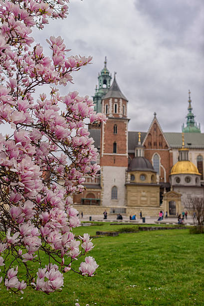 istock Wawel Castle, Wawel Castle 614118102