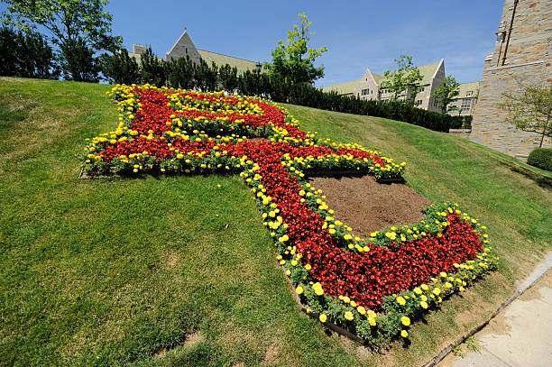 Boston College sign in flowers on gree hill Chestnut Hill, Massachusetts, USA - July 21, 2016: Close up of Boston College sign located on the Boston College campus in Chestnut Hill, Massachusetts.  Sign located near the School of Social Work. boston college campus stock pictures, royalty-free photos & images