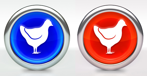 Chicken Icon on Button with Metallic Rim. The icon comes in two versions blue and red and has a shiny metallic rim. The buttons have a slight shadow and are on a white background. The modern look of the buttons is very clean and will work perfectly for websites and mobile aps.