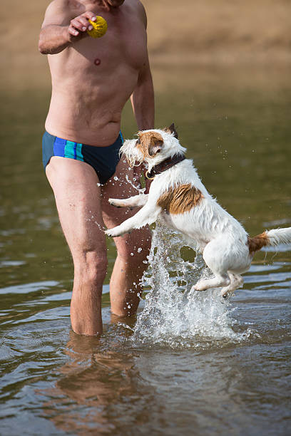 istock man plays with a dog in the river 614121364