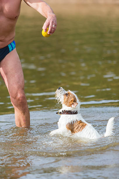 istock man plays with a dog in the river 614121428