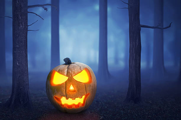 istock Halloween pumpkin in a mystical forest 614122790