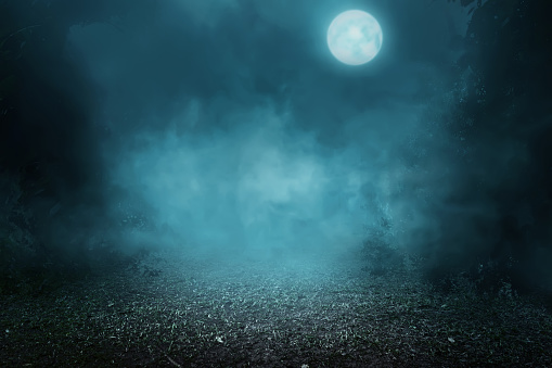 Spooky foggy forest on the moonlight