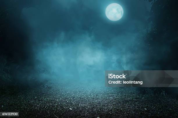Spooky Foggy Forest Stock Photo - Download Image Now - Forest, Spooky, Horror