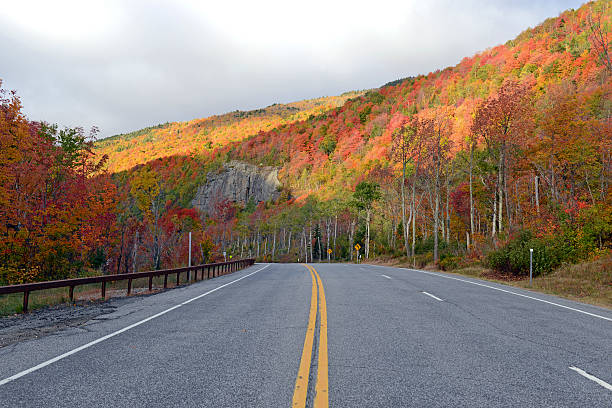 istock Driving in Autumn foliage in Northeast forest 614124034