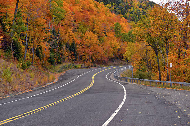 istock Driving in Autumn foliage in Northeast forest 614124082