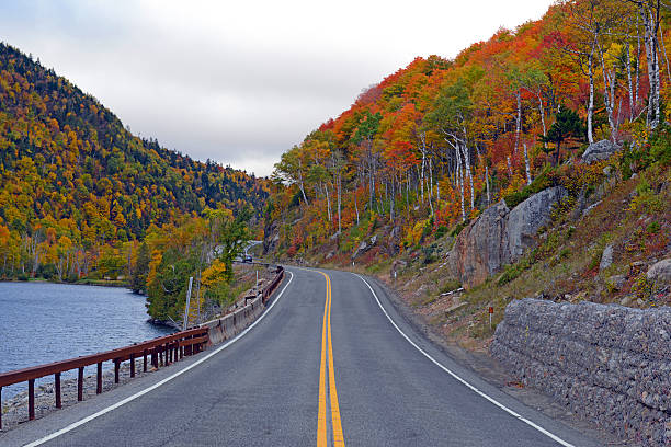 istock Driving in Autumn foliage in Northeast forest 614124102
