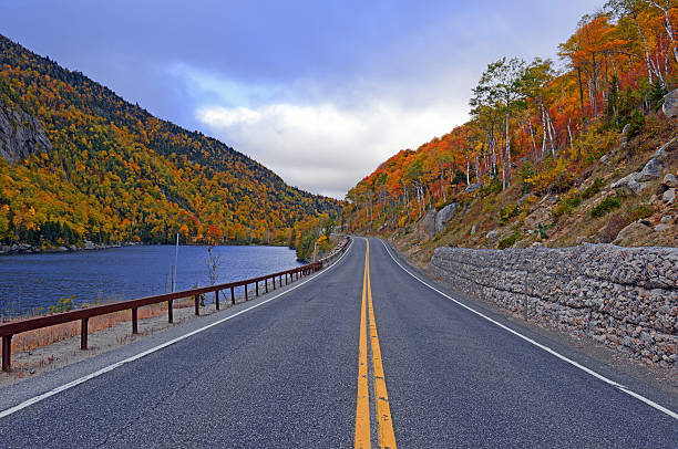istock Driving in Autumn foliage in Northeast forest 614124114