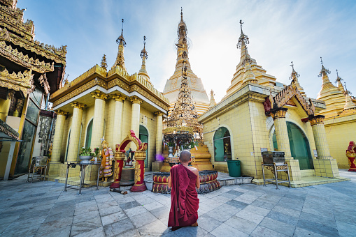 Yangon, Myanmar - Burma - October 12, 2016: Burmese monk from behind at the golden Sule Pagoda praying to Buddha. Sule Pagoda, Yangon, Rangoon, Myanmar, Asia. 