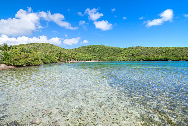 istock Shallow Caribbean bay and rolling hills 614124902
