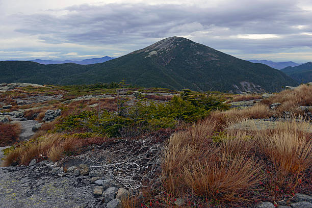 Mount Marcy in the Adirondacks, high point in New York Mount Marcy in the Adirondacks, high point in New York State as viewed from the summit of Skylight Mountain showing autumn colors of the subarctic alpine vegetation whiteface mountain stock pictures, royalty-free photos & images